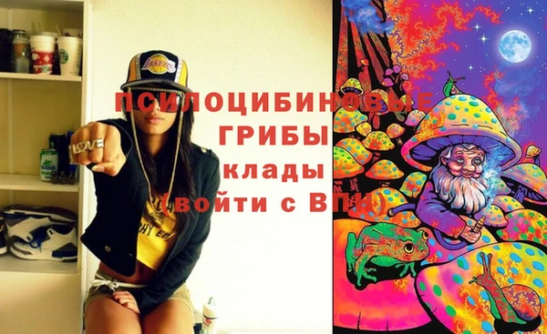 дурь Арсеньев