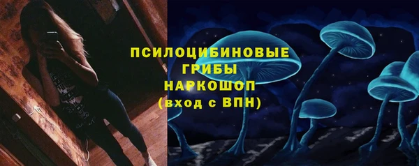 дурь Арсеньев