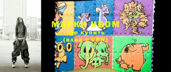 дурь Арсеньев